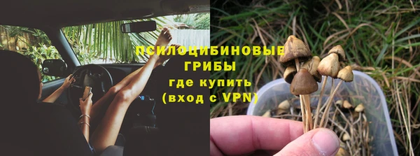 первитин Медвежьегорск