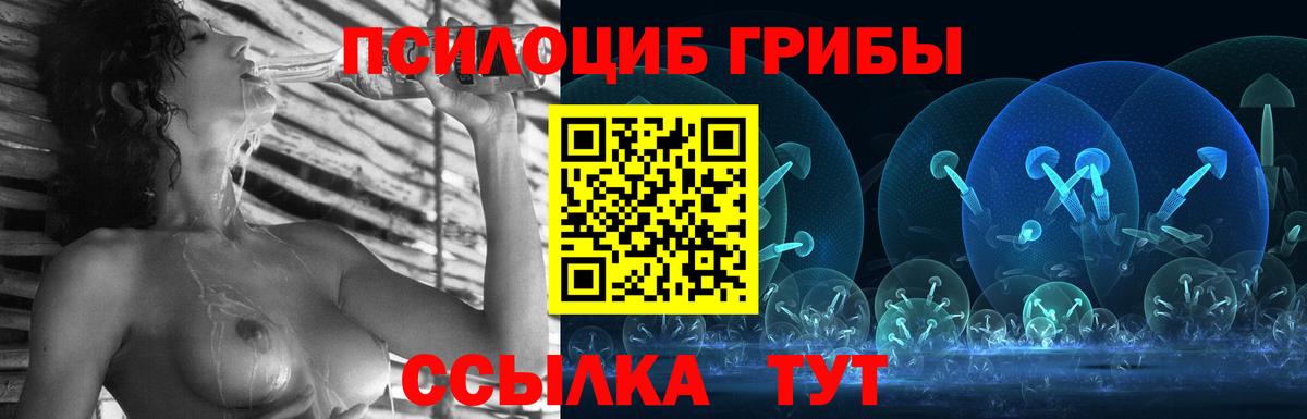 Псилоцибиновые грибы Psilocybine cubensis  Вход с VPN  Абакан 